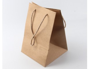 牛皮紙專(zhuān)色彩印茶葉紙袋